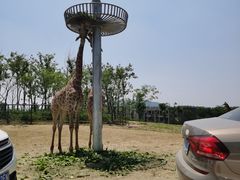 -南京金牛湖风景区