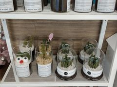 零售区-随心小姐