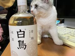 -黄寺蒸汽海鲜(黄寺大街店)