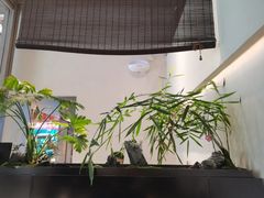 -俏立方·15年新楚菜