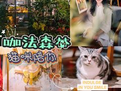 -咖法森林·咖啡  酒吧(天河店)