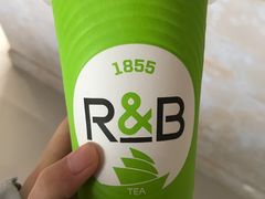 -巡茶(港区金科廊桥店)