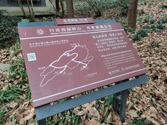-九曜山