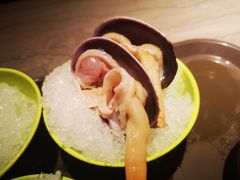 象拔蚌-海天盛宴海鲜自助(正大广场店)