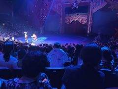 -珠海横琴长隆《卡卡虎奇遇记》