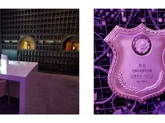 -北京张裕爱斐堡酒庄