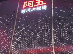 -阿五黄河大鲤鱼(英协路店)