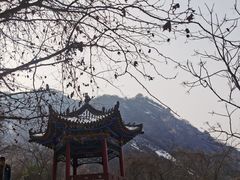 -秦岭终南山世界地质公园翠华山景区