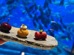 -亚特兰蒂斯•OSSIANO奥西亚诺海底餐厅