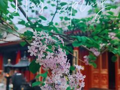 -西安市广仁寺