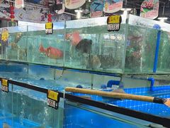 -绿雅居原生态农庄(小涌店)