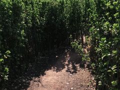 -西部长青自然儿童乐园