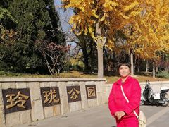 -玲珑塔公园