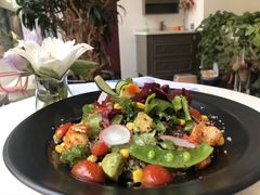 wkate&nbsp;salad&nbsp;威克特沙拉-威克特披萨汉堡