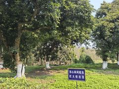 -张坝桂圆林公园