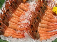 -月龍吟(朝龙汇店)