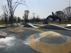 -白鹭湾湿地公园