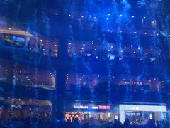 -成都浩海立方海洋公园