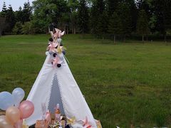 -福建鲤鱼洲酒店