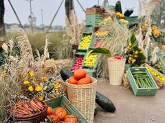 -中国天府农业博览园