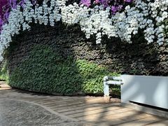 -石家庄市植物园