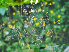 -鹅湖玫瑰文化园