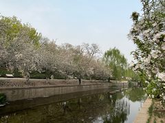 -元大都城垣遗址公园