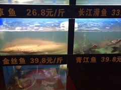 -一味清欢300℃时尚烤鱼(北京华联店)