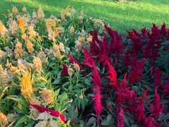 -长春公园(普阳街道)