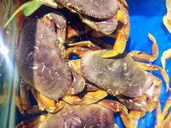 -盒马鲜生(莱蒙都会店)