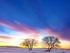 -御道口草原森林风景区-游客咨询处