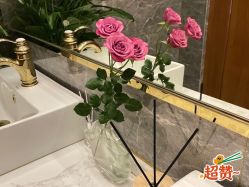 -KINI绮丽·美学肌SPA进口仪器专业店
