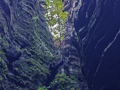 -梭布垭石林景区