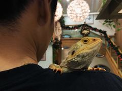 -藦茜花园宠物主题亲子互动体验馆(国顺东路店)
