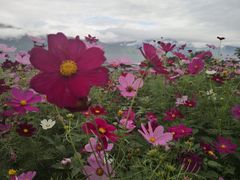-七星潭蓝天广场