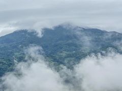 -紫鹊界梯田景区
