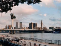 -珠江夜游广州塔·中大码头