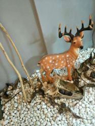 -GIRL STYLE 烫发·染发沙龙