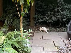 -青城道汤池
