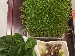 -洞子口重庆鲜货火锅(楚翘城旗舰店)