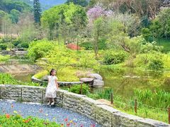 -云溪植物园