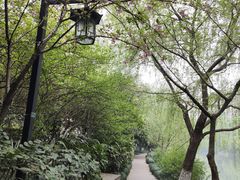 -浙江大学医学院附属第二医院(解放路院区)