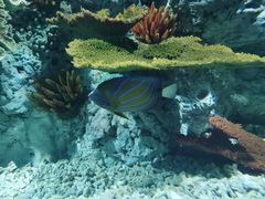 -福州罗源湾海洋世界旅游区