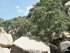 -碓臼峪自然风景区