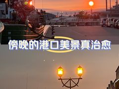 -币舞桥