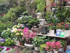 -苏州市皮市街花鸟工艺品市场