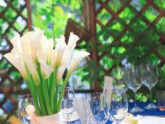 -春树下·树屋花房西餐厅(罍街AS1980店)