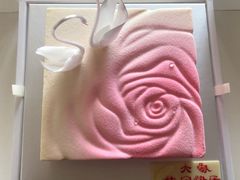 -BLACKSWAN黑天鹅(环球店)