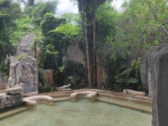 -海口观澜湖火山温泉谷