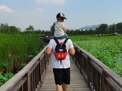 -羊亭河湿地公园